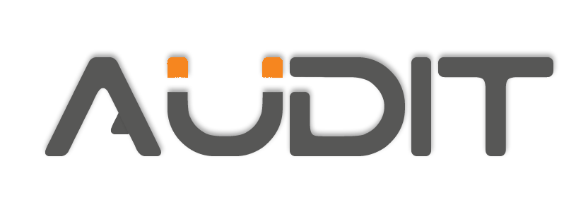 Audit